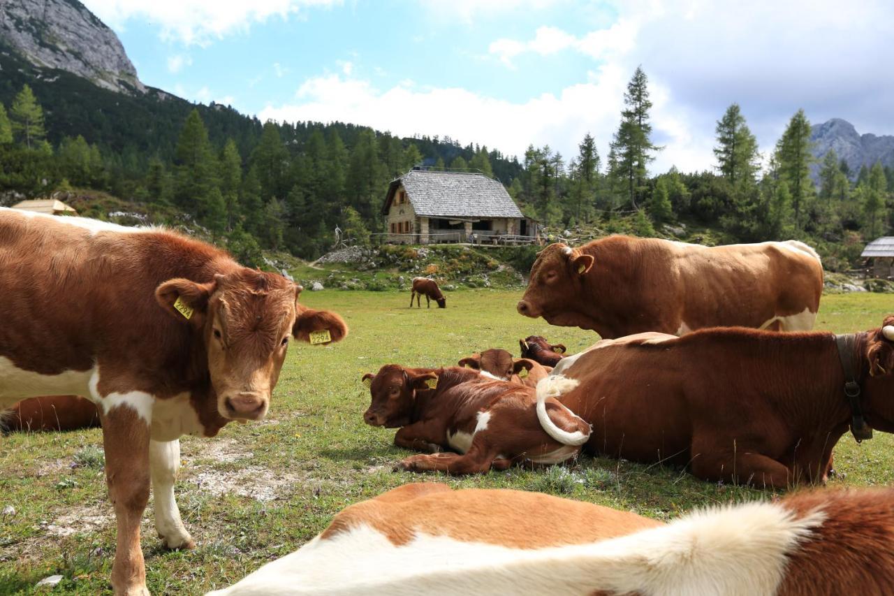Chalet Pr Dobravc Bohinj Εξωτερικό φωτογραφία